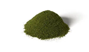AGT Green Base Layer - G6421
