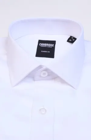 Solid Pointed Collar Shirt